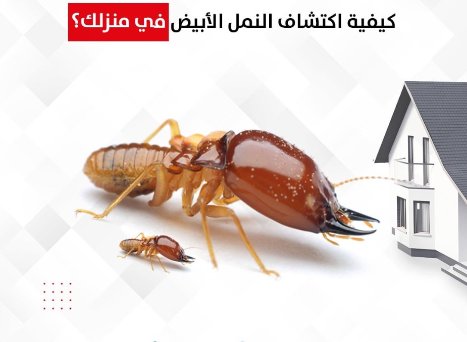 user default profile image