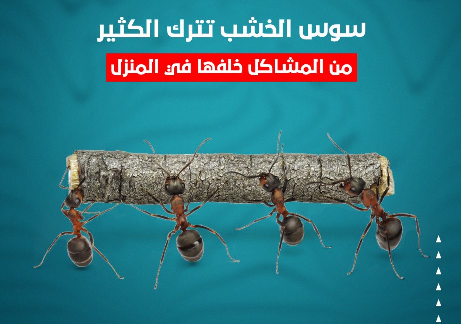 user default profile image